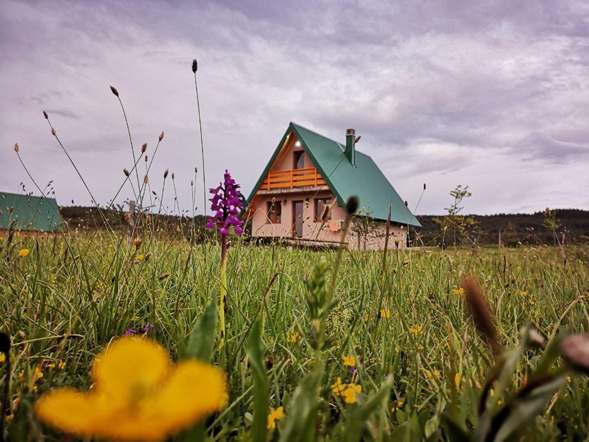 Villa Planinska Kuca Žabljak Exterior foto